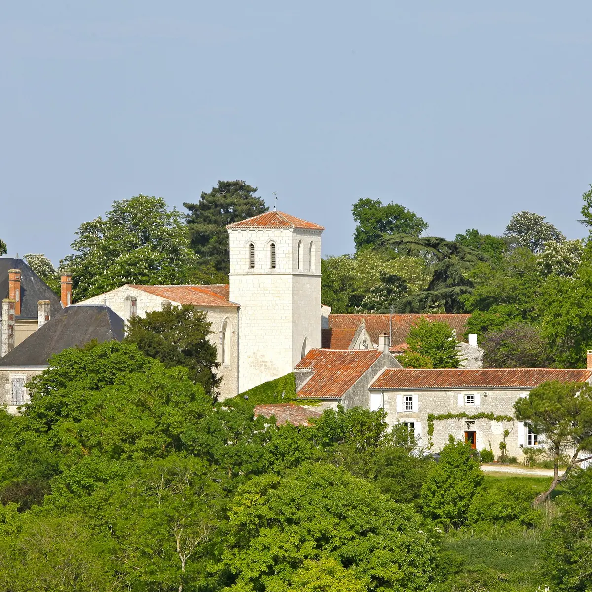 randonnée-la-lutinière-auzay-fontenay-vendee-85200-3