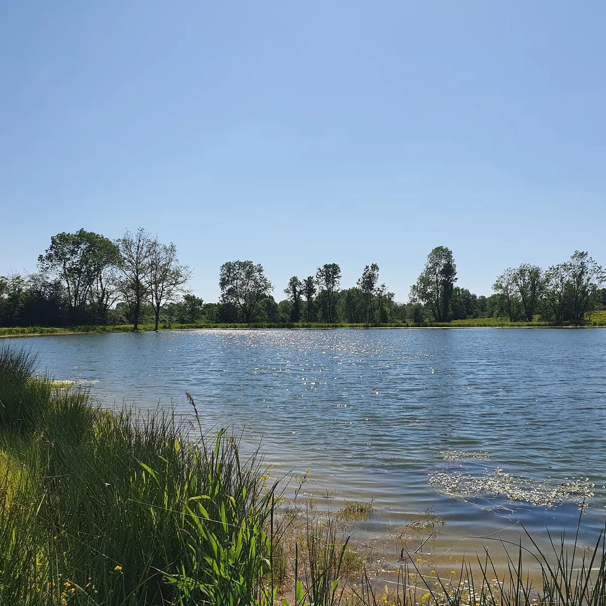 randonnée-les-etangs-foussais-payré-fontenay-vendee-85- (3)