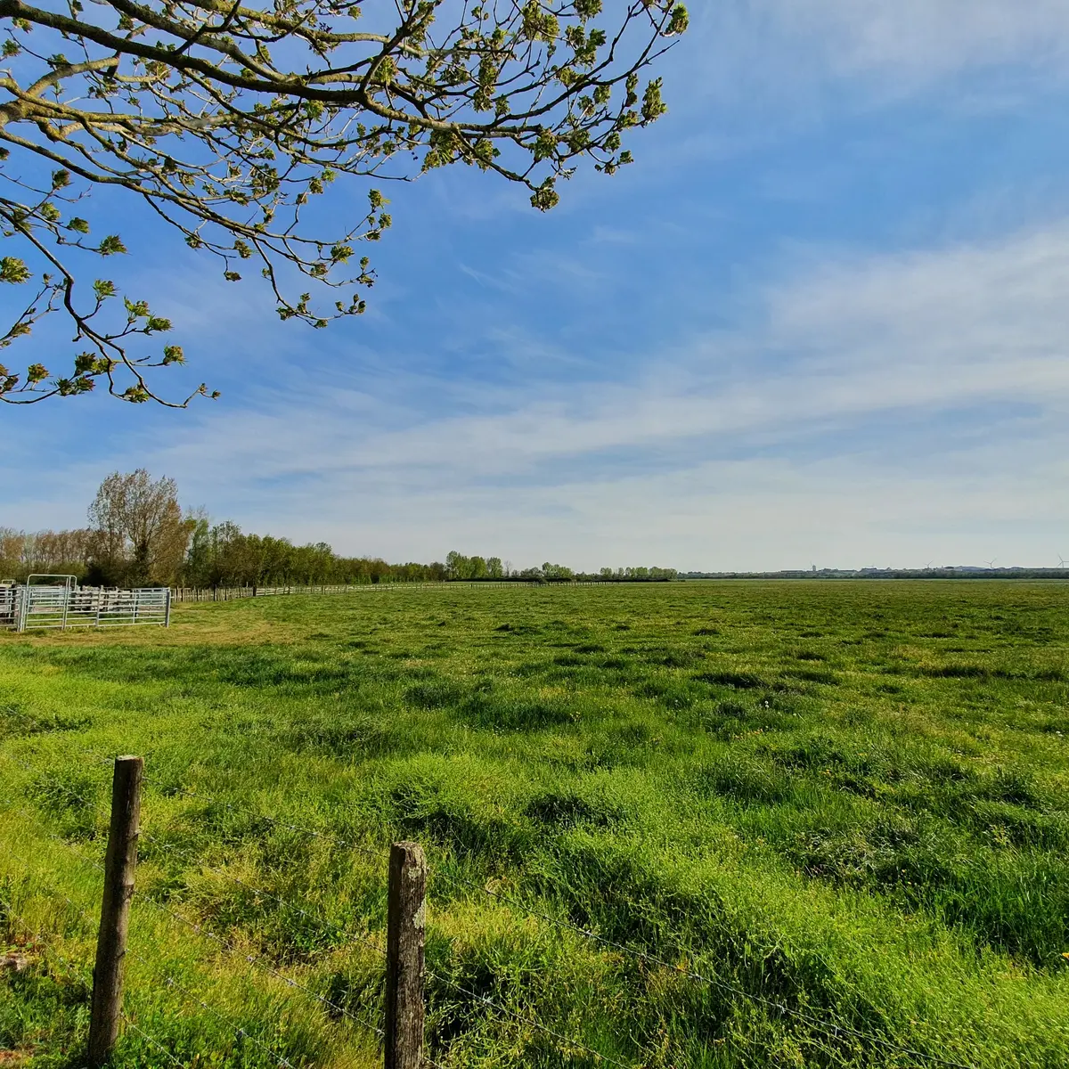 randonnée-pédestre-baude-grand-montreuil-fontenay-vendee-85200-4