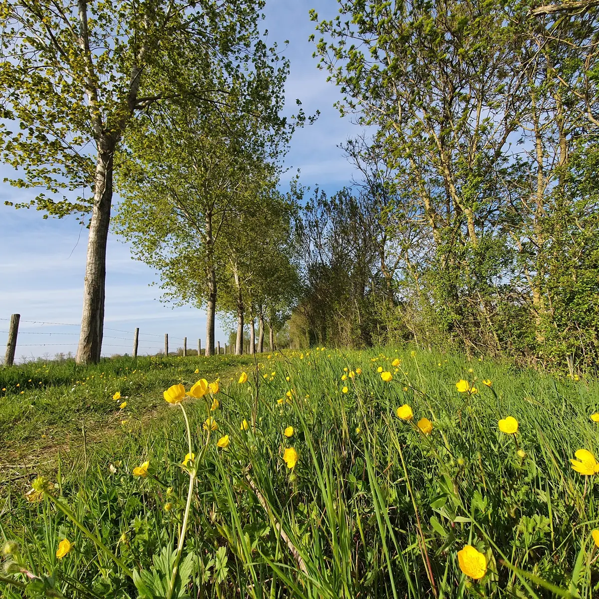 randonnée-pédestre-baude-grand-montreuil-fontenay-vendee-85200-2