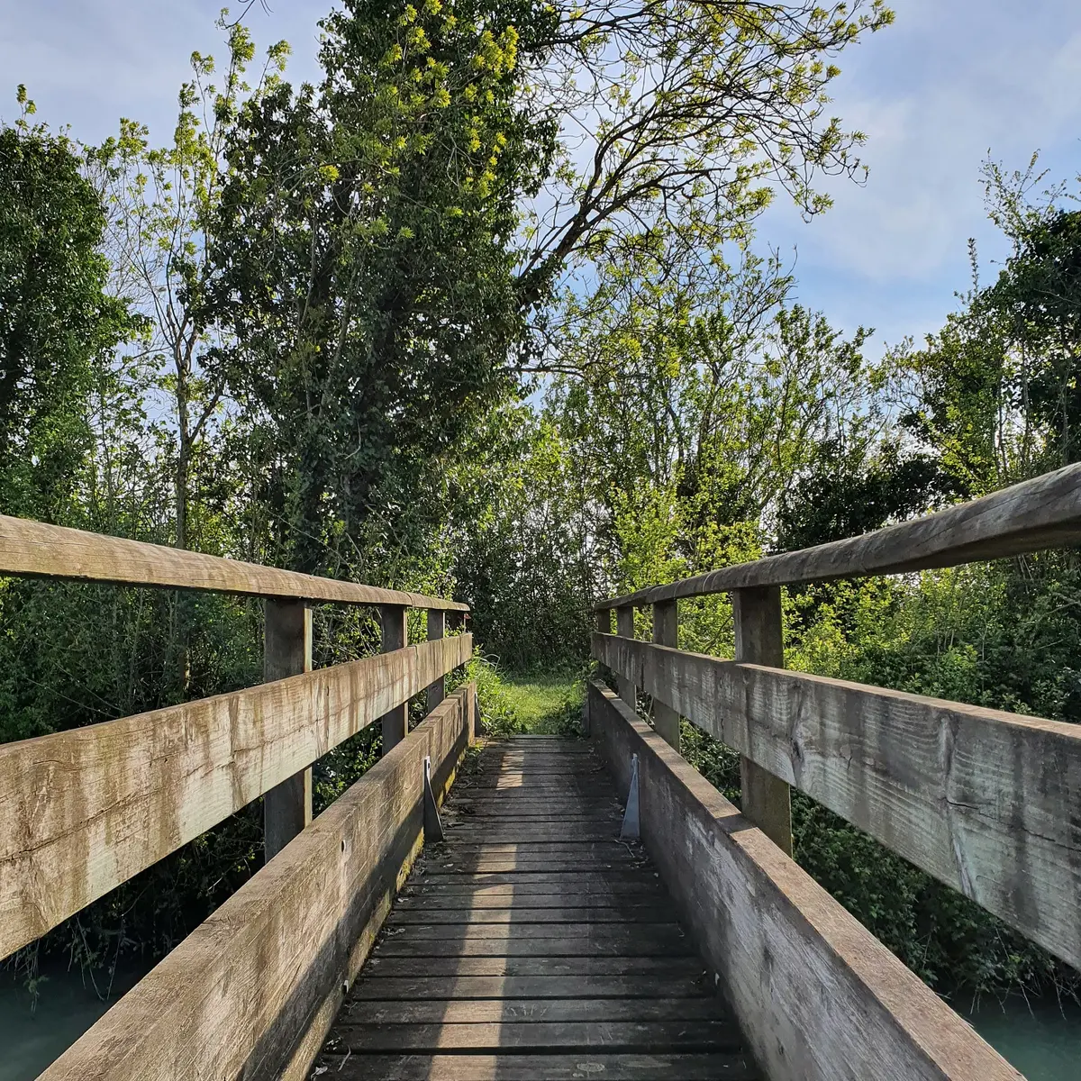 randonnée-pédestre-marais-poitevin-communal-montreuil-baude-85200- (2)