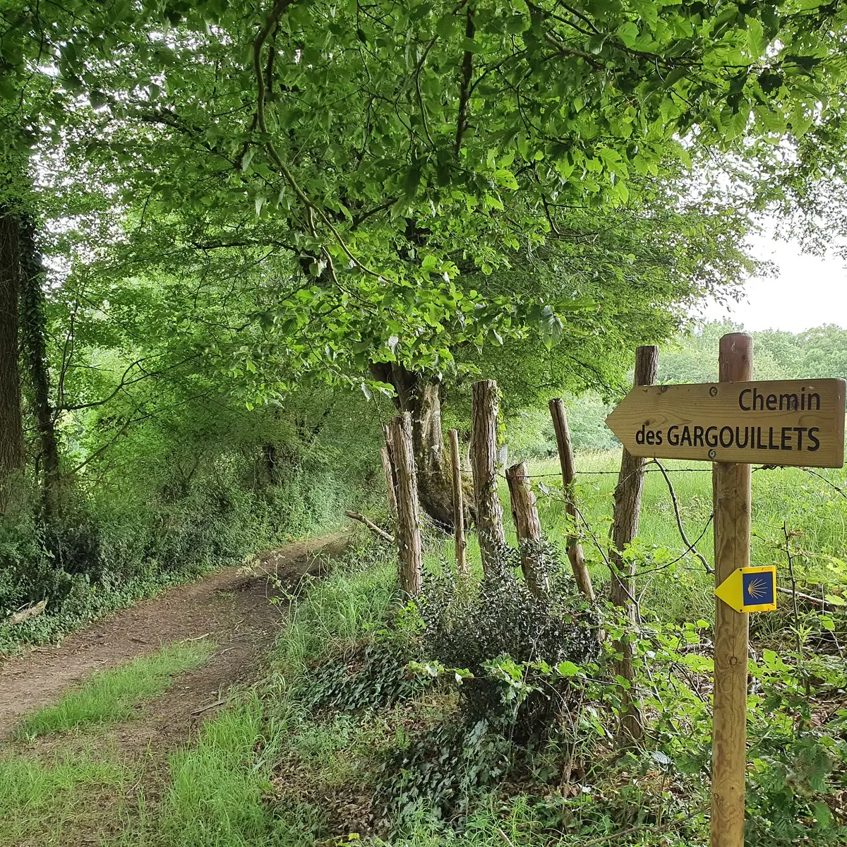 randonnée-puy-chabot-l-orbrie-85200-fontenay-vendee- (2)