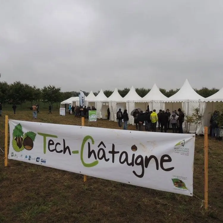 Tech-Châtaigne
