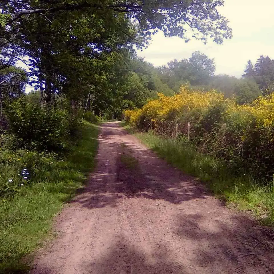 Circuit du duveix à Saint-Méard_3