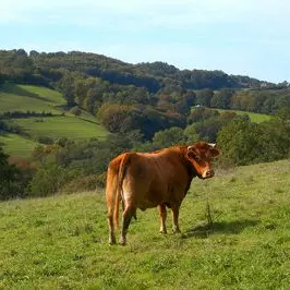 circuit du prieuré de l'artige 2_2