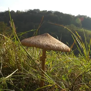 circuit du prieuré de l'artige 3_3