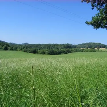 Circuit des Daumiers à Saint-Pardoux_3