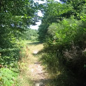 Circuit la randonnade de Cognac-la-Forêt_3