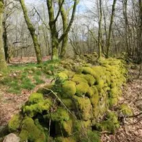 circuit las pradas a cognac la foret_1