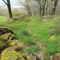 circuit las pradas a cognac la foret_2