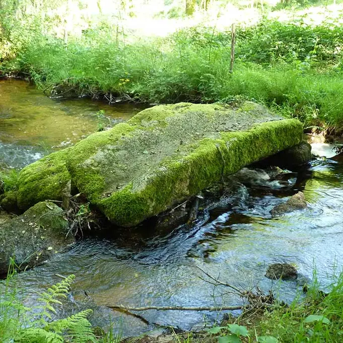 chemin des moines de grandmont en Limousin_2