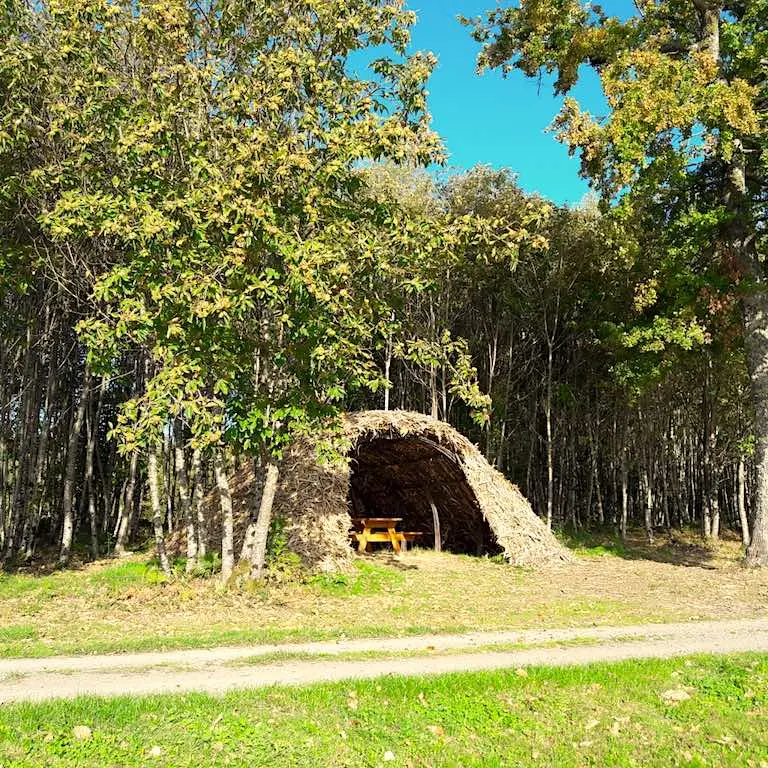 Cabane de feuillardier