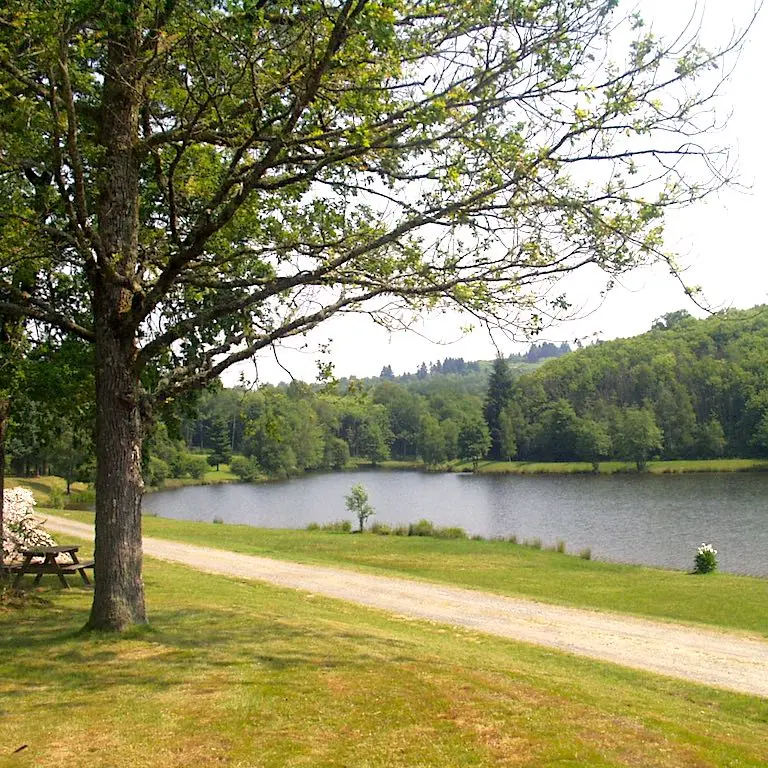 Etang de Masselièvre2