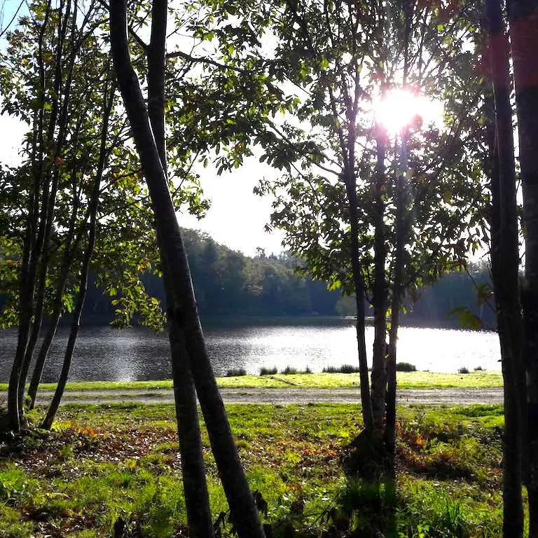 Etang de Masselièvre
