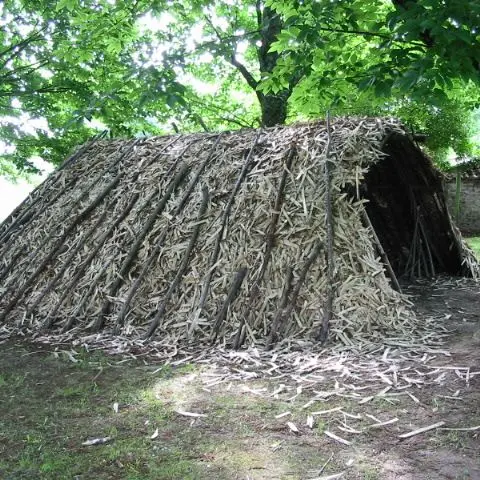 La forêt de Cromières_2