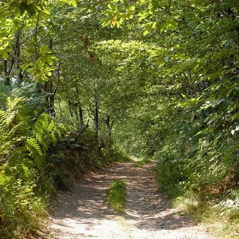 Circuit de Naboulièras_2