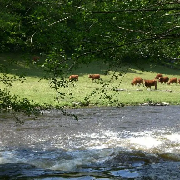 circuit les narcisses_2