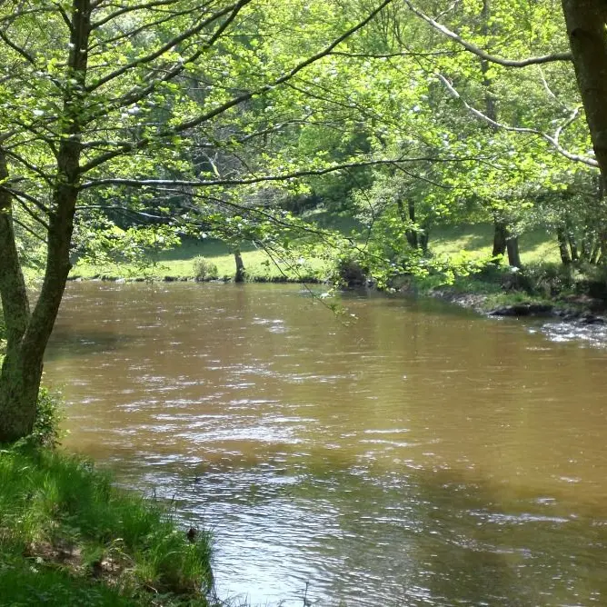 circuit les narcisses_3