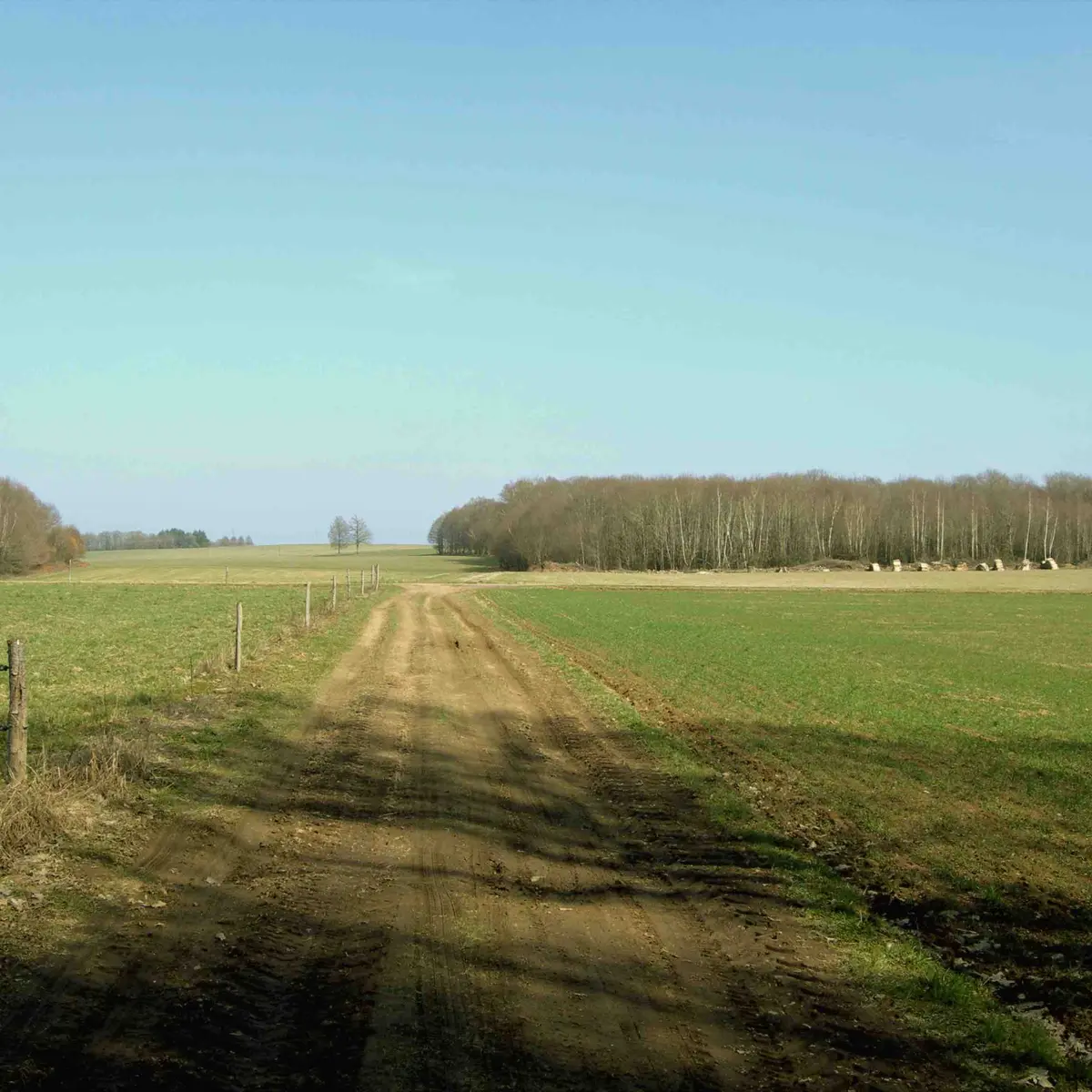 Sentier Puy du Thé - piste 4_1