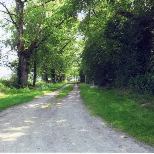 Randonnée des vieux chênes_3