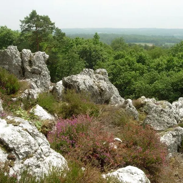 Circuit de la lande de Frochet_1