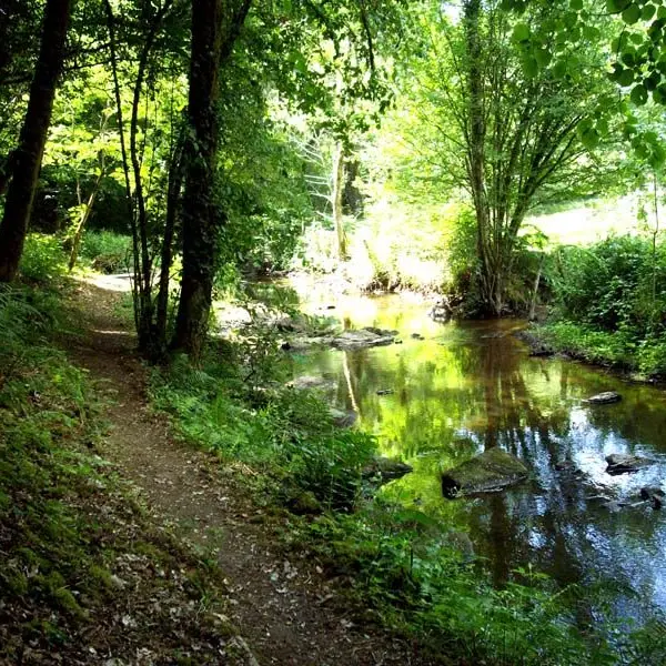 Circuit de l'oratoire du Couret_2 - La Brame