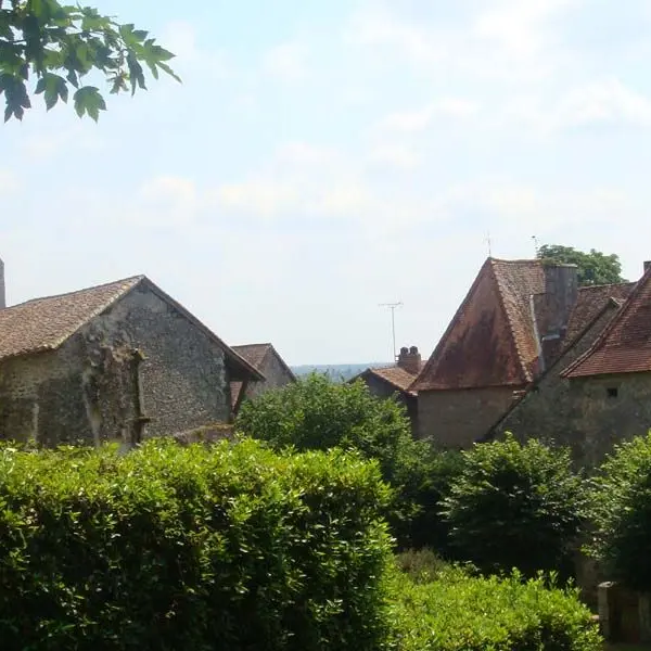 Les trois forêts : les sentiers de Burgou_2