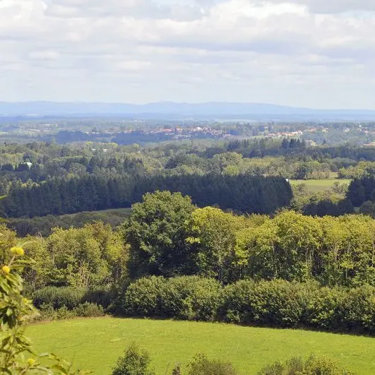 Chemin des hautes forêts_3