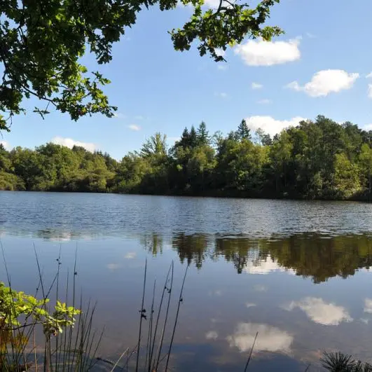 Chemin des étangs_1