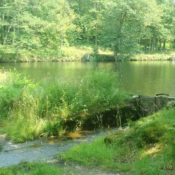 Chemin des étangs_2