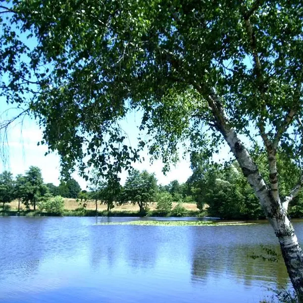 Sentier du Père Castor_3