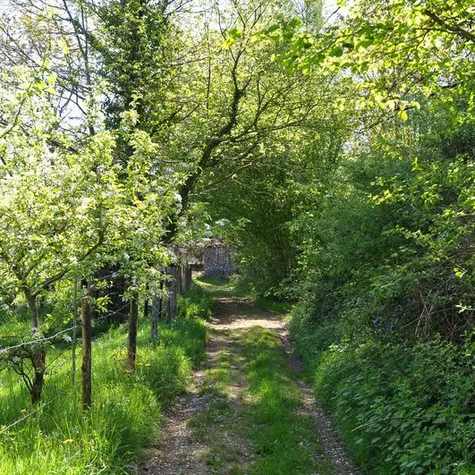 Sentier Entre Puys et Landes_1