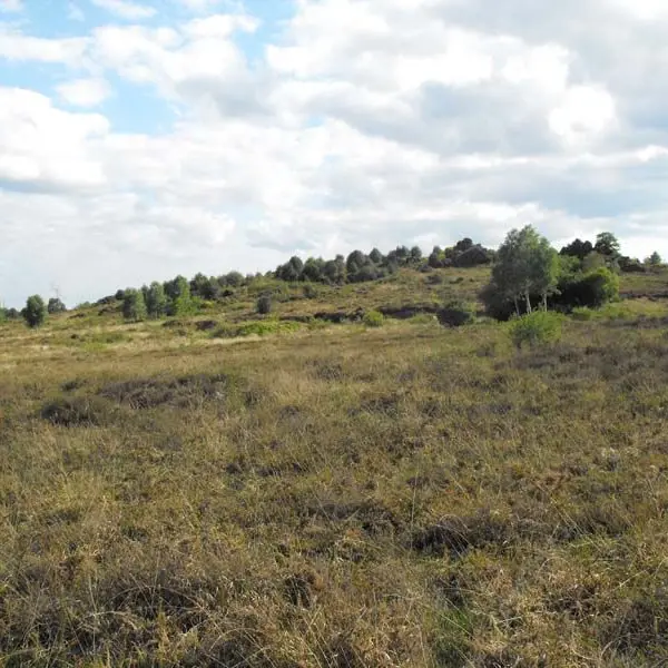 Sentier Entre Puys et Landes_4