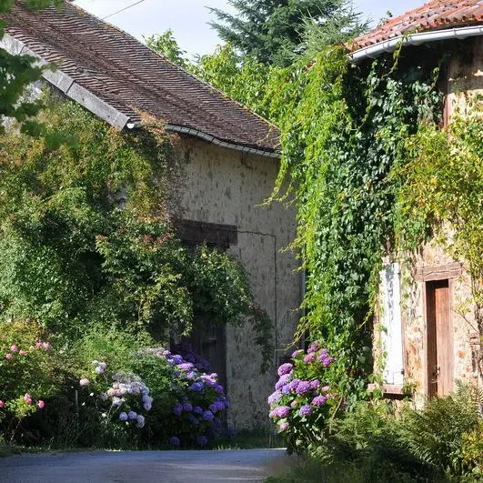 Sentier aux sources de la Gorre_3