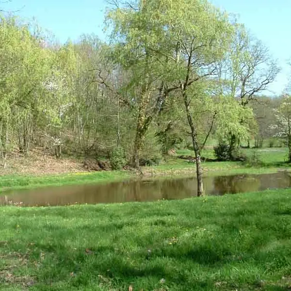 Circuit Les Ramiers - les Millefeuilles_4