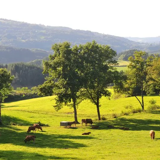 Circuit de Bonneval_3