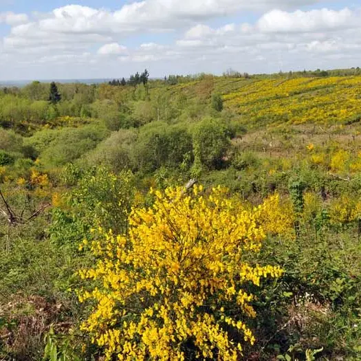 Circuit des étangs_2