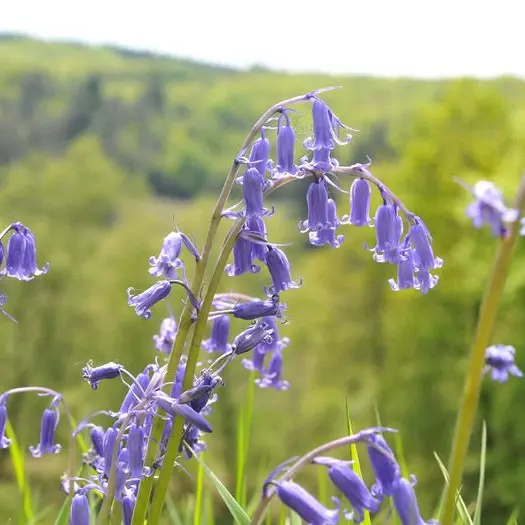 Circuit des étangs_3