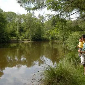 Circuit des étangs_4