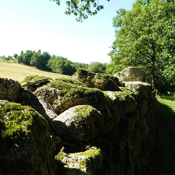Entre coteaux et vallées_2