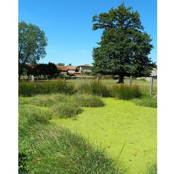 Entre coteaux et vallées_3