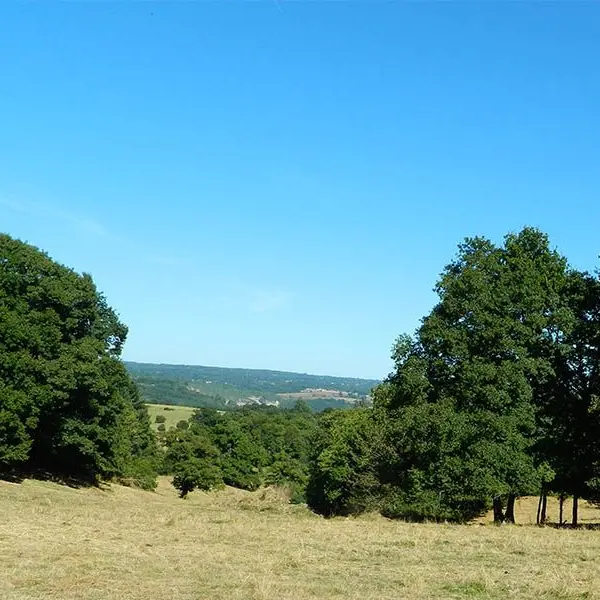 Entre coteaux et vallées_4