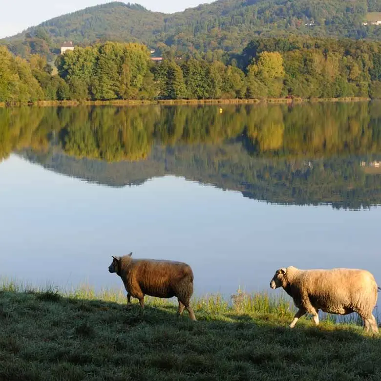 Boucle de Bourdelas et de Jonas_3