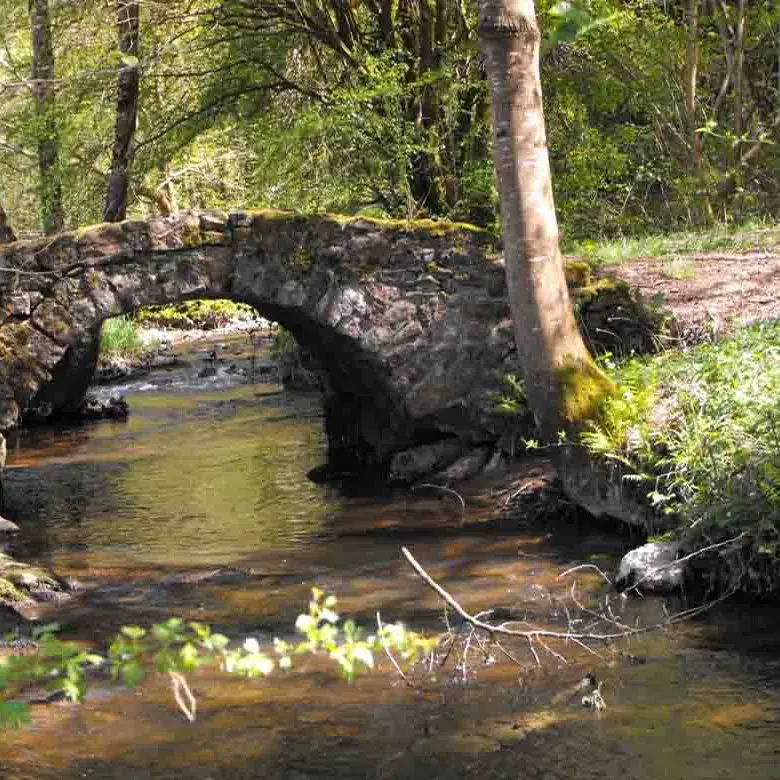 Circuit Bord Auzette_1