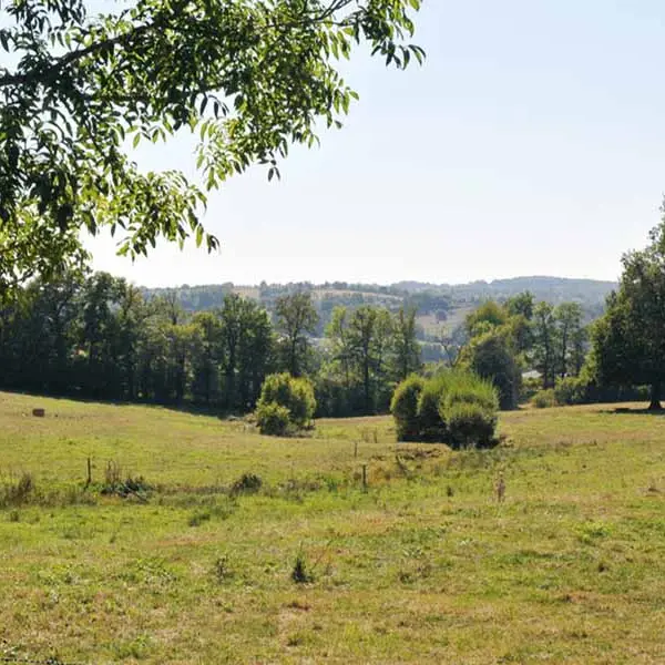 Sentier de Gascour_3