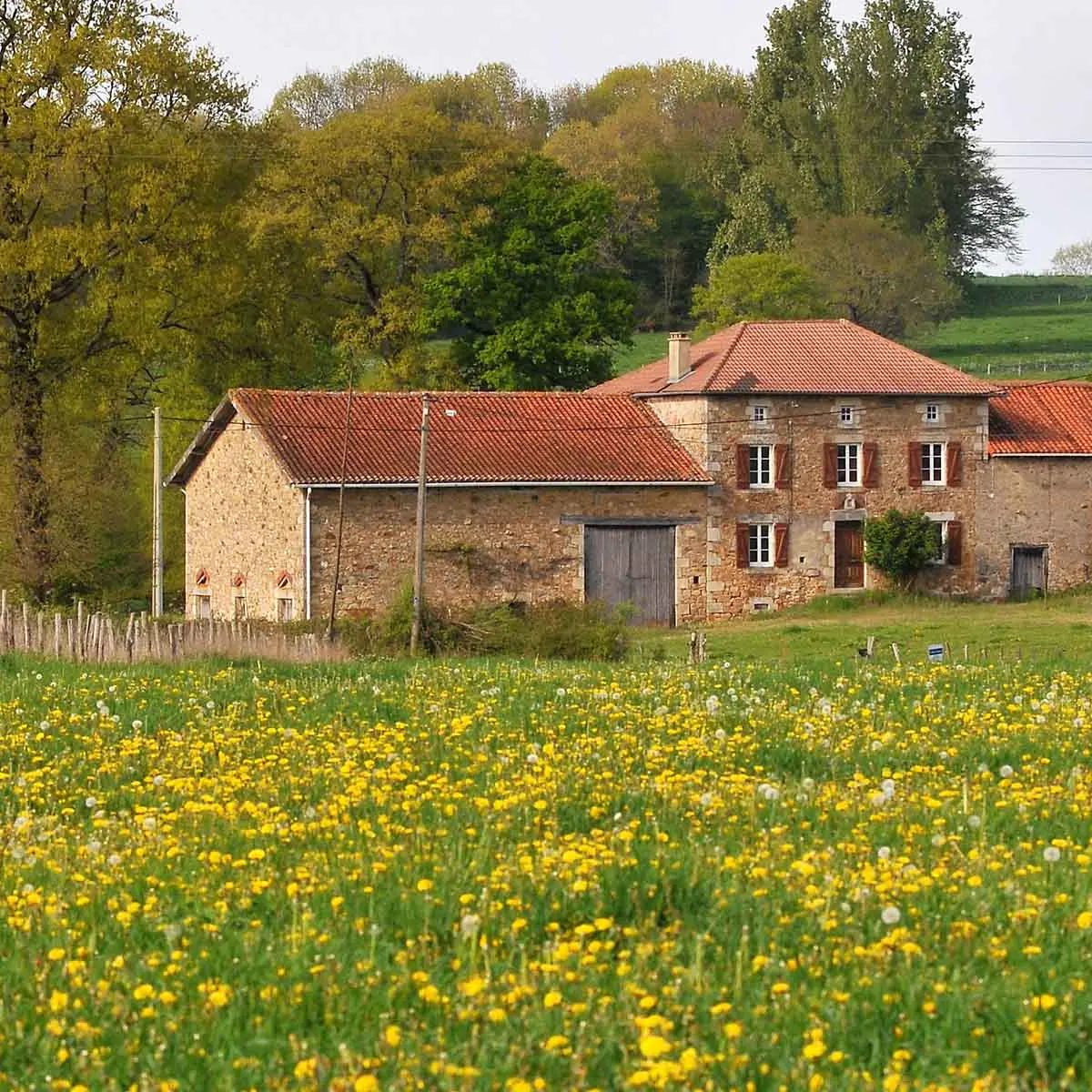 Sentier chez le Geai_1