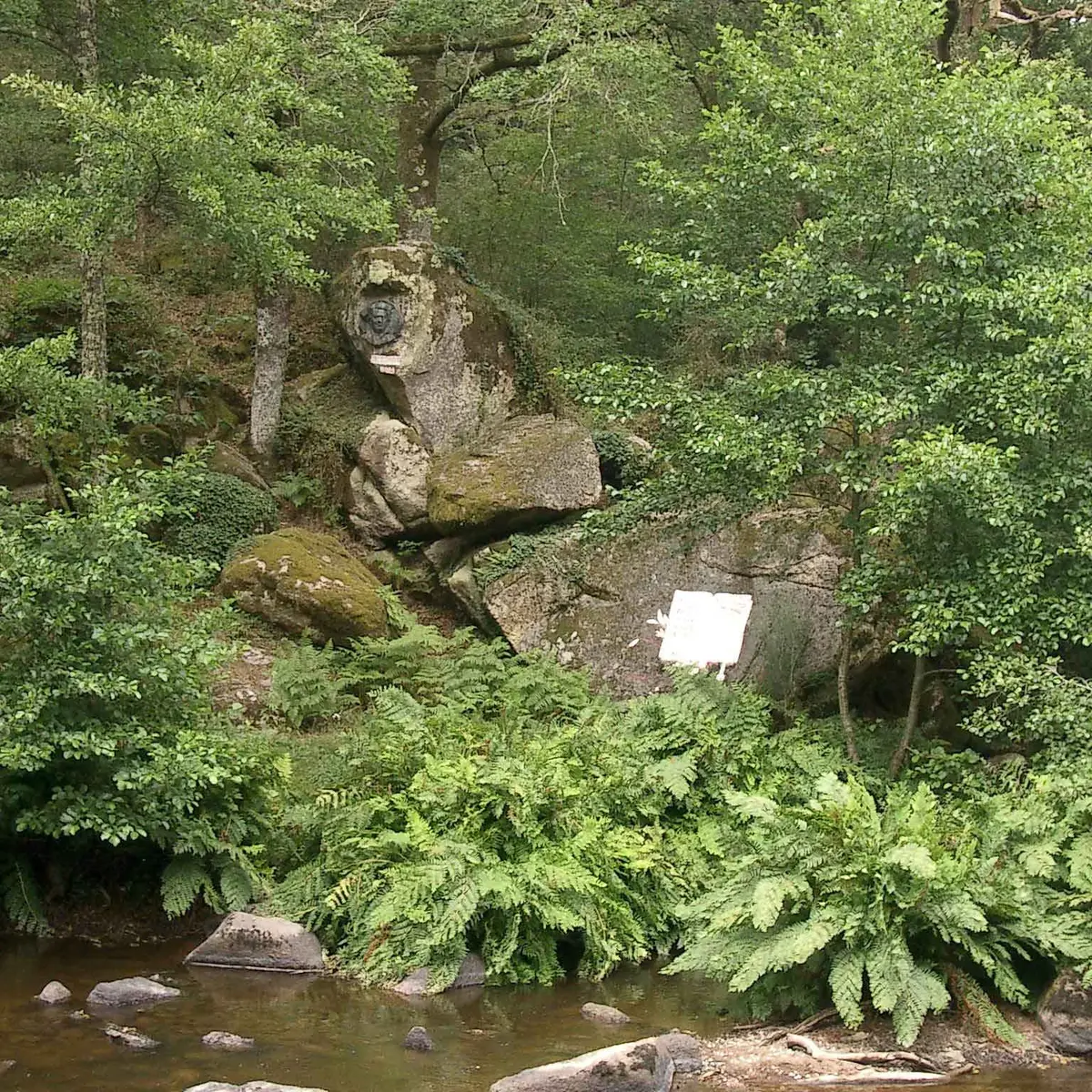 Sentier chez le Geai_3