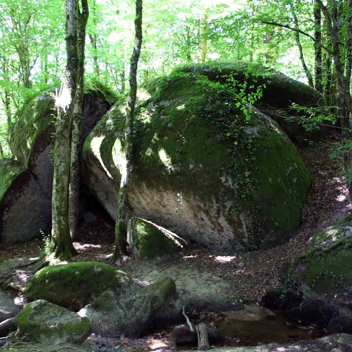 Sentier les Aubespins_1