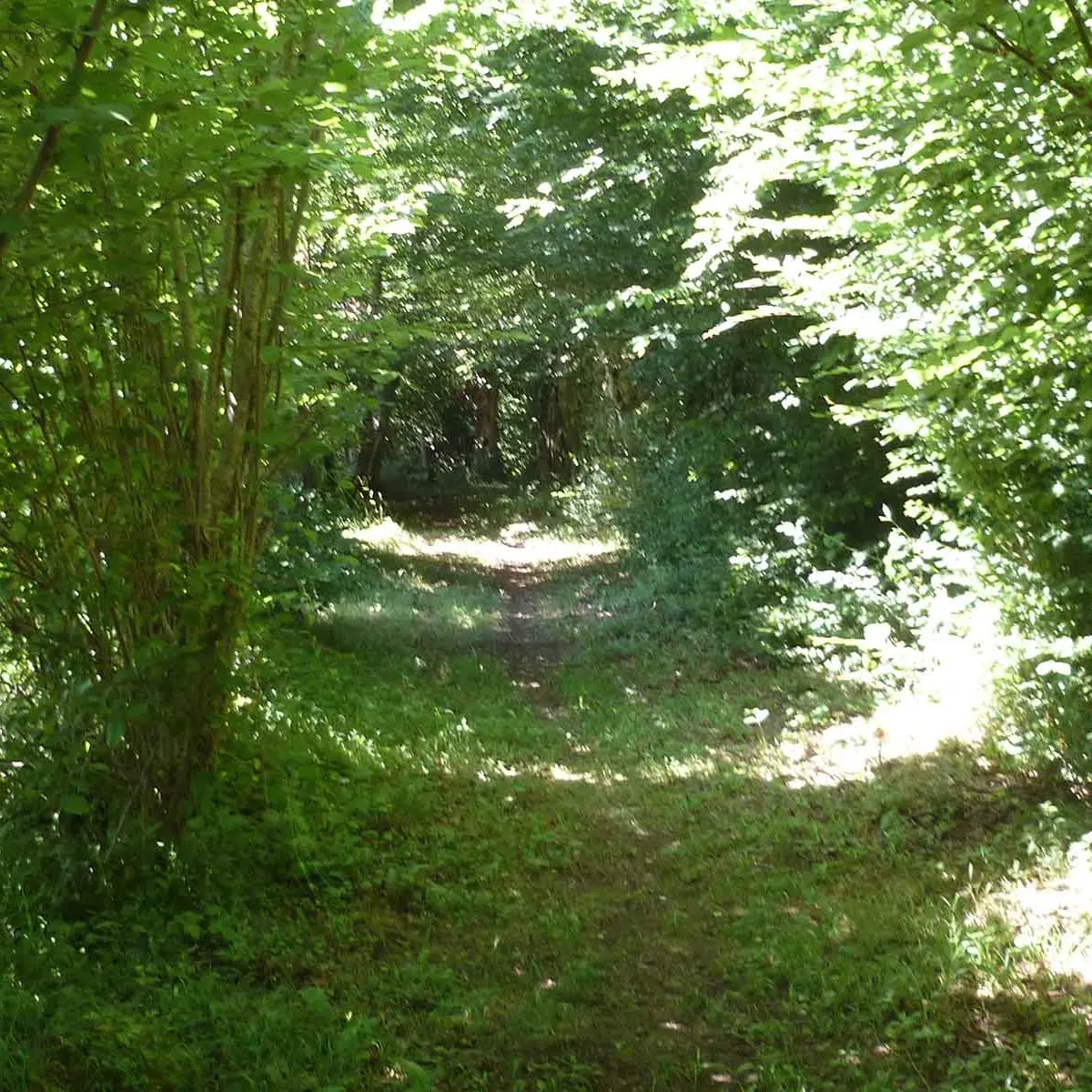 Les sentiers de Meilhac_4