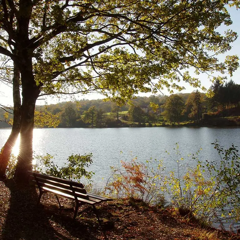 Chemin des seigneurs_1